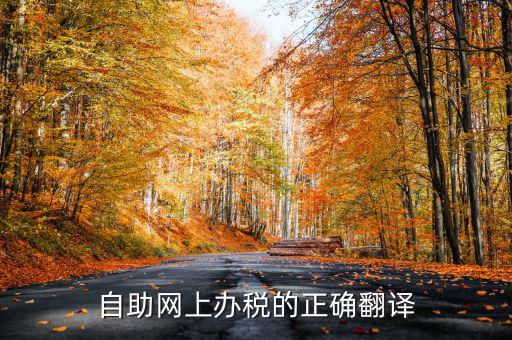 自助網上辦稅的正確翻譯