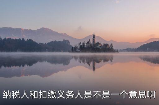 稅務人是什么，什么是納稅義務人