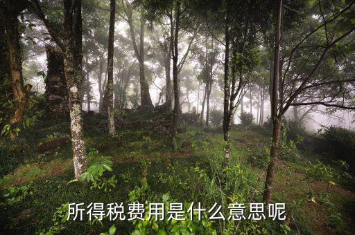 所得稅支出什么意思，企業所得稅是什么意思