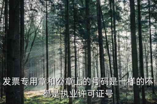 公章和發票章號碼是什么，發票專用章和公章上的號碼是一樣的不都是執業許可證號