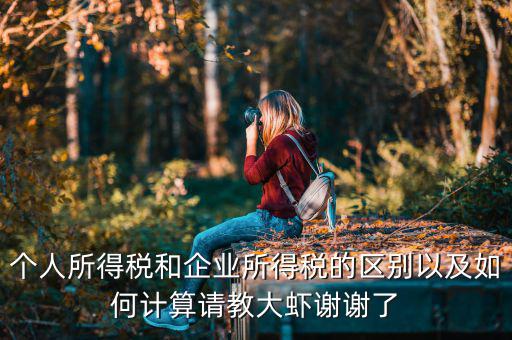 個人所得稅和企業所得稅的區別以及如何計算請教大蝦謝謝了