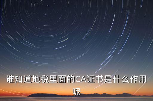 地稅安徽ca是什么意思，什么是國稅CA和地稅CA他是具體干什么用的