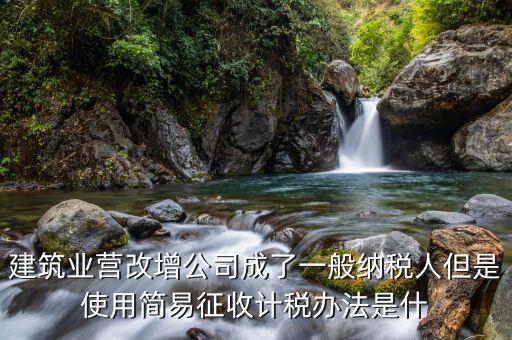 簡易計稅法是什么，簡易計稅法開具的是增值稅普通發票嗎