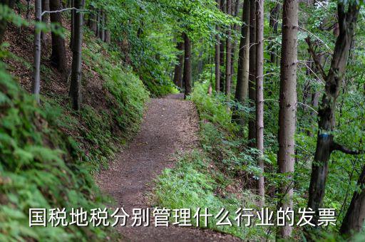 地稅涉及的行業都是什么，國稅地稅分別管理什么行業的發票