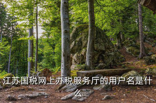 江蘇國稅用戶名密碼是什么意思，江蘇國稅網上辦稅服務廳的用戶名是什么