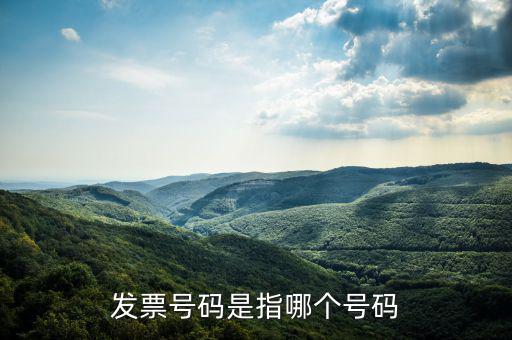 什么是發(fā)票的查詢號，發(fā)票號碼是指哪個(gè)號碼