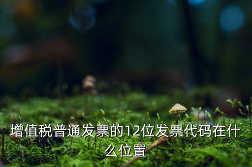 增值稅普通發票的12位發票代碼在什么位置