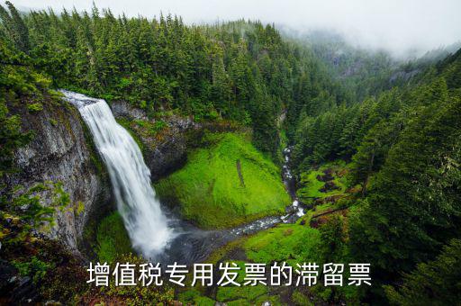 滯留票核查工作是干什么的，稅務局會查到期未抵扣的滯留增值稅專用發票嗎用來查帳外帳