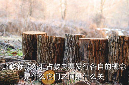 財政存款外匯占款央票發行各自的概念是什么它們之間是什么關