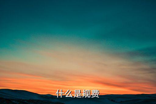 什么是規費