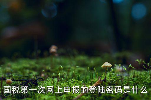 國稅第一次網上申報的登陸密碼是什么