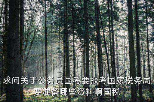 求問關于公務員國考要報考國家稅務局要準備哪些資料啊國稅