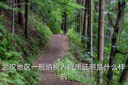 武漢地區一般納稅人資質證明是什么樣的