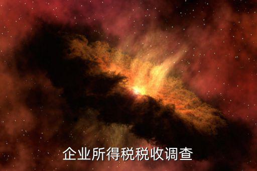 企業所得稅稅收調查