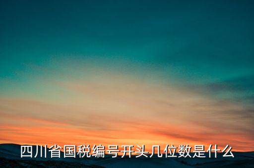 四川省國稅編號開頭幾位數是什么