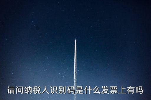 請問納稅人識別碼是什么發票上有嗎
