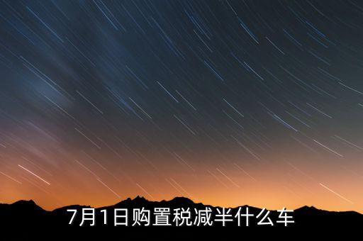 車稅減半針對什么車，101以后購車附加費減半 包含哪些車型