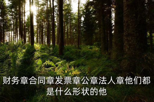 財務章合同章發票章公章法人章他們都是什么形狀的他