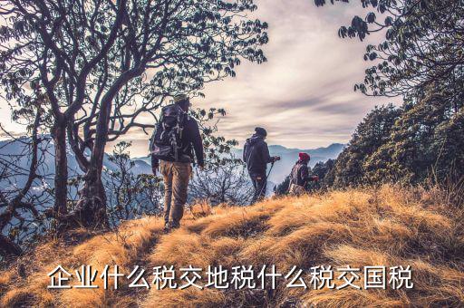 企業什么稅交地稅什么稅交國稅