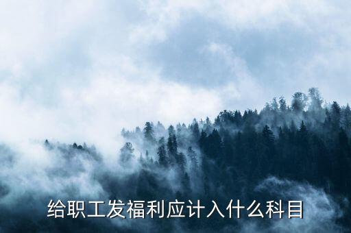 給職工發福利應計入什么科目