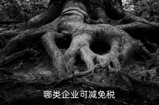 哪類企業可減免稅