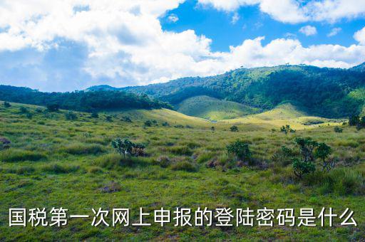 浙江國稅登入密碼是什么意思，稅務局網站的登入賬戶初始密碼是什么