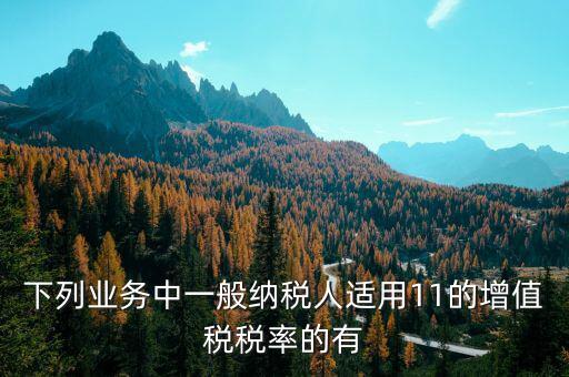 下列業務中一般納稅人適用11的增值稅稅率的有