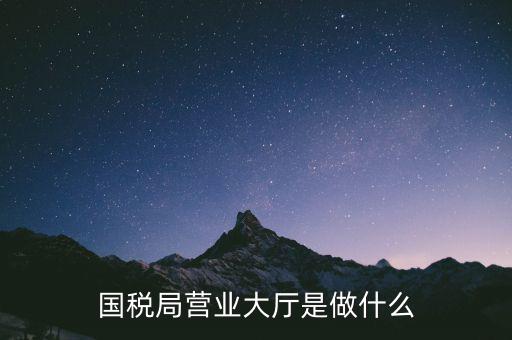 國稅局營業大廳是做什么