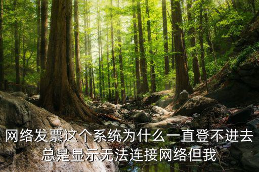 網絡發票 登錄密碼是什么情況，樂稅社區稅友咨詢問題增值稅發票查詢平臺登錄密碼是什么