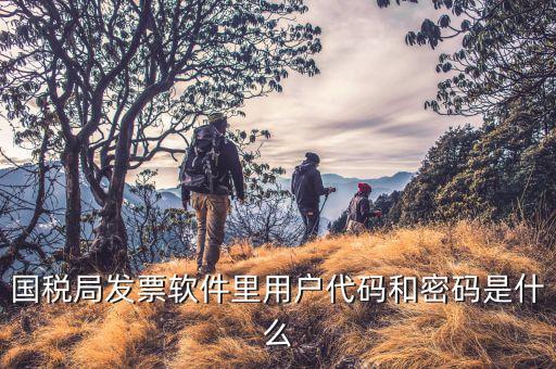 網絡開票系統默認密碼是什么，國稅局發票軟件里用戶代碼和密碼是什么