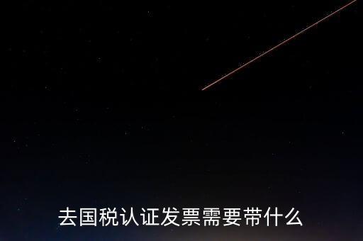 去國稅認證發(fā)票需要帶什么