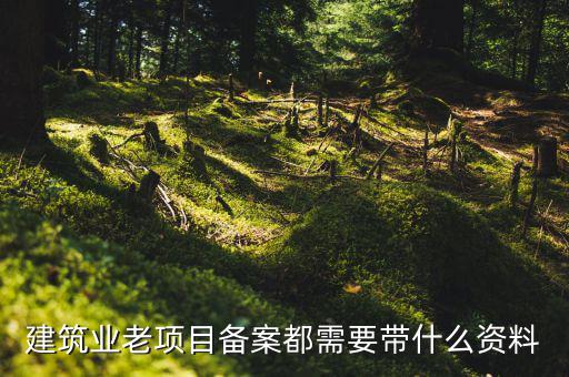 建筑業老項目備案都需要帶什么資料