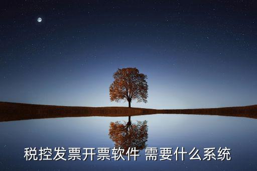 稅務開票系統都有什么，什么是開票系統小規模納稅人有裝開票系統嗎在線等謝謝