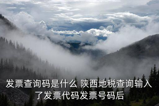 發票查詢碼是什么 陜西地稅查詢輸入了發票代碼發票號碼后