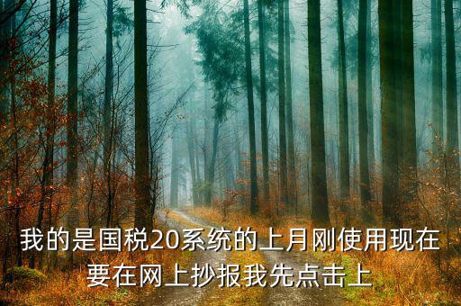 百望什么時候點抄報，我的是國稅20系統的上月剛使用現在要在網上抄報我先點擊上