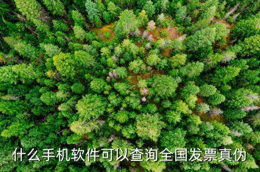 驗發票真假什么軟件，請問有沒有學習增值稅防偽開票的模仿操作軟件