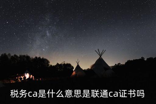 稅務ca是什么意思是聯通ca證書嗎