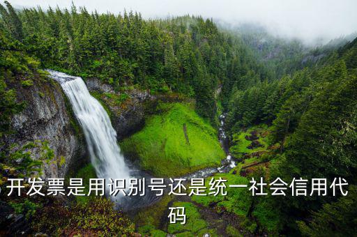 發票統一社會信用代碼是什么意思，開發票是用識別號還是統一社會信用代碼