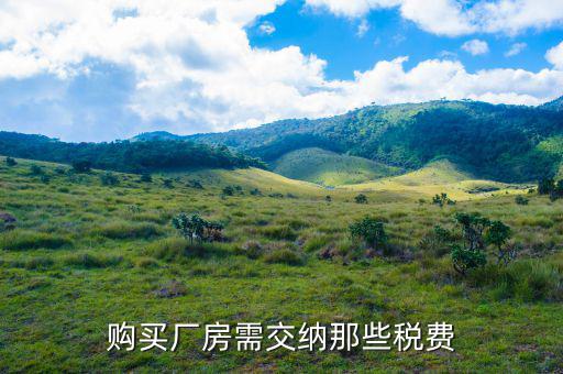 公司買廠房要交什么稅，購買廠房需交納那些稅費