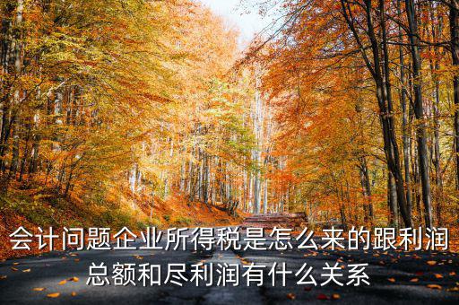企業所得稅和什么有關，增值稅和企業所得稅有關系么