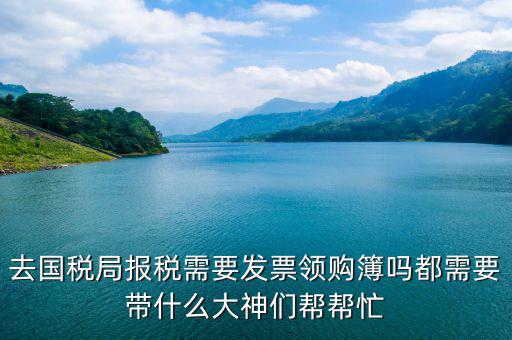 去國稅局報稅需要發票領購簿嗎都需要帶什么大神們幫幫忙