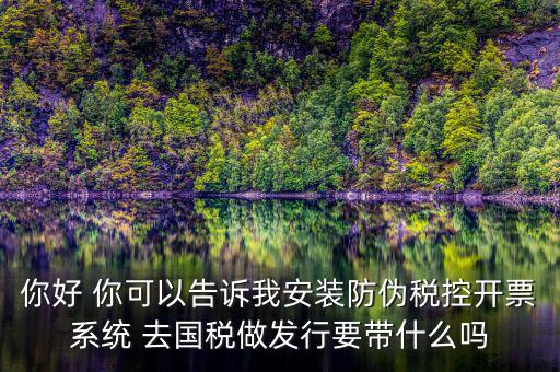 稅控發行是要做什么，稅控盤發行都呆哪些東西去稅務局需要法人去嗎