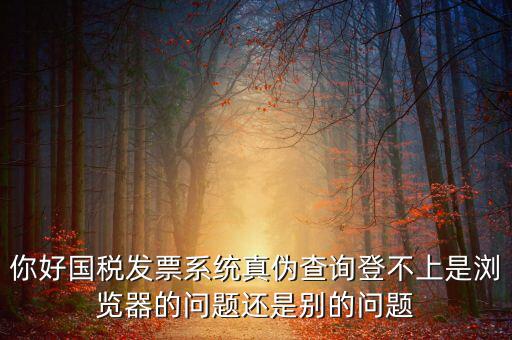 國稅登不上什么情況，為什么稅號密碼都對還是無法登錄國稅