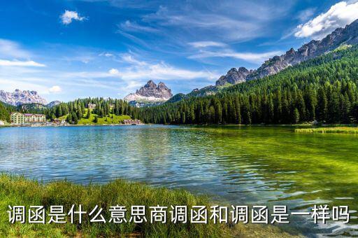 稅局調函是什么意思，暫不辦理個人檔案或同意調出函是什么意思
