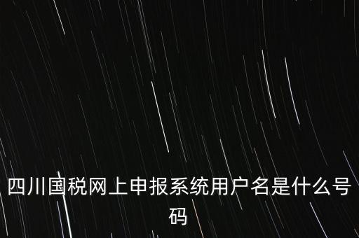 四川省地方稅務(wù)局登錄賬號(hào)是什么，在網(wǎng)上報(bào)稅登陸時(shí)用戶名是什么
