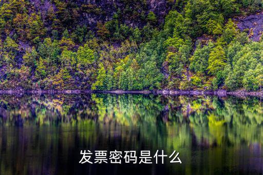 發票密碼是什么