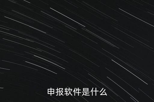 增值稅申報(bào)用什么軟件，申報(bào)軟件是什么