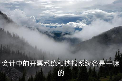 報稅開票系統是什么意思，每個月一號重登金稅盤開票系統是什么意思