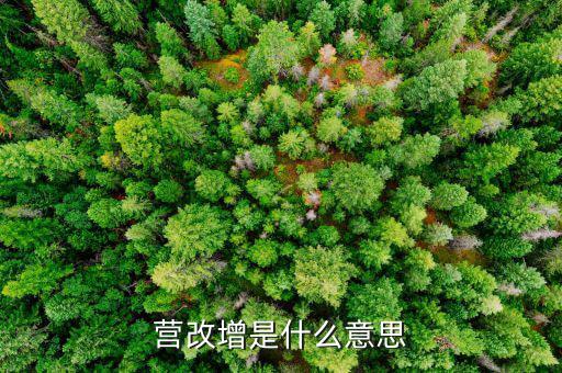 什么是營改增發票，營改增是什么意思
