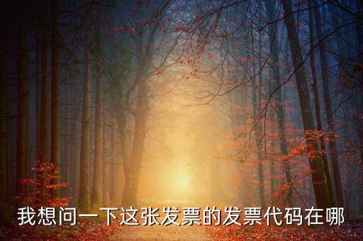 我想問一下這張發票的發票代碼在哪